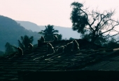 IIP Online Student Photography